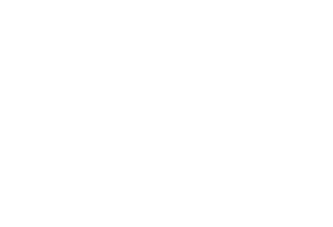 Ward Insurance Group LLC - Logo 800 White
