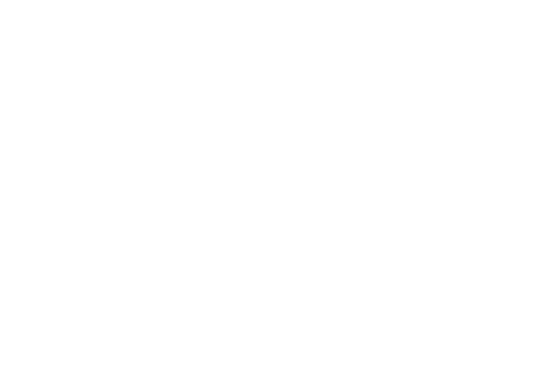 Ward Insurance Group LLC - Logo Icon White